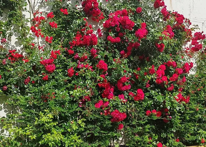 Sea Point La 4* גולדן סנדס