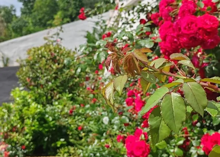 Lejlighedshotel Sea Point La 4*